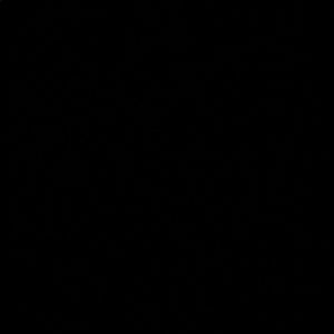 Meet your Posher, Raleigh